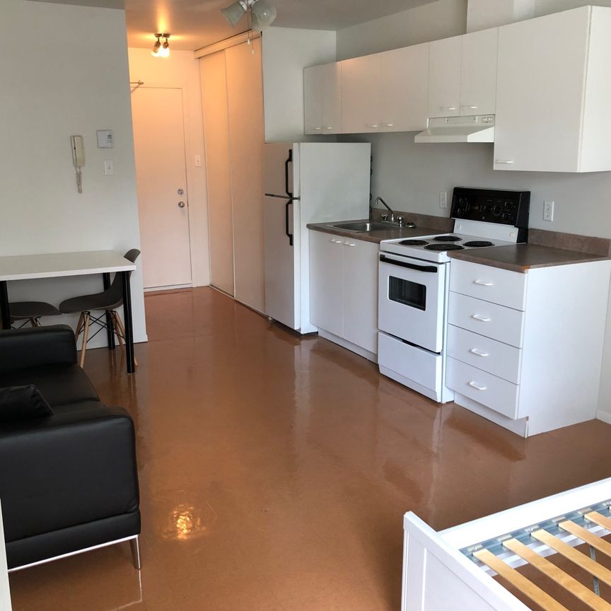 Le 1400 Boullé, Campus étudiant St-Hyacinthe - Photo 1