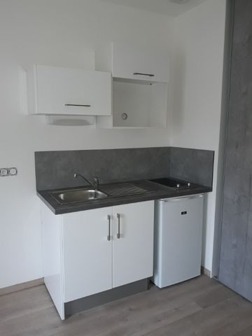 Location Appartement 1 pièce 17m² - Photo 3