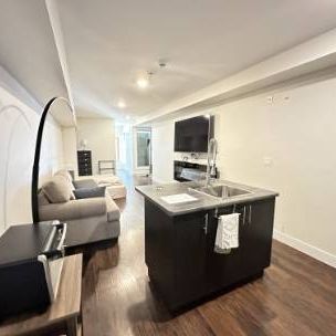 E103 - 430 5th Street, Courtenay Fully Furnished Studio - Photo 4