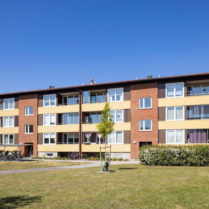 Långarödsvägen, Höganäs - Foto 1