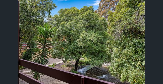 THE PERFECT CITY PAD - YOUR INNER-URBAN LIFESTYLE STARTS HERE! - Photo 1