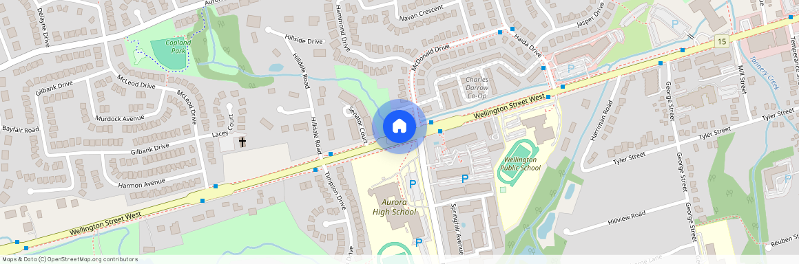 160 Wellington Street, 310, Aurora, ON L4G 1J5