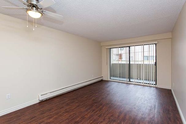 Harbourview Terrace Apartments - 1 Bedroom - Photo 1