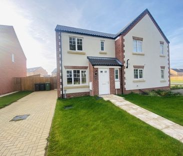 Bray Drive, NR18 0GQ - Photo 5