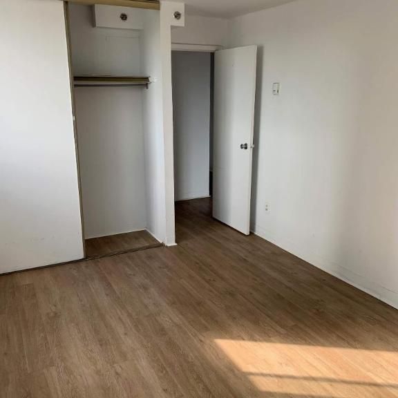 1 CH - 1 SDB - Montréal - $1,395 /mo - Photo 1