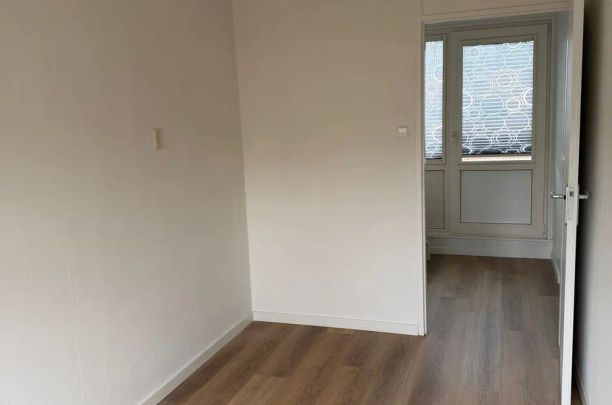 Oliemolen 159, Hoorn - Photo 1