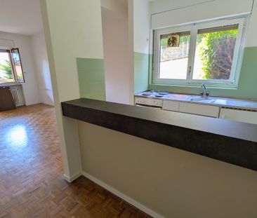 Affittasi appartamento di 2.5 locali con giardino a Massagno - Foto 2