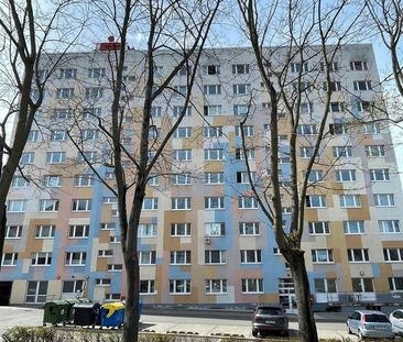 Wohnen im Stadtzentrum (719) - Photo 1