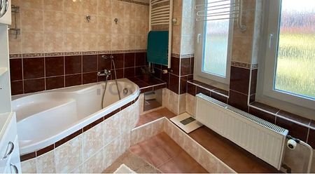 Apartment for rent, Flatshare, 10m - Photo 5