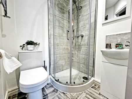 Absolutely Luxurious Brand New en-suite Rooms - Photo 4