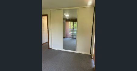 Excellent entertainer, huge private courtyard! - Photo 3