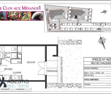 Location Appartement 1 pièce 25m² FROUZINS 31270 - Photo 3