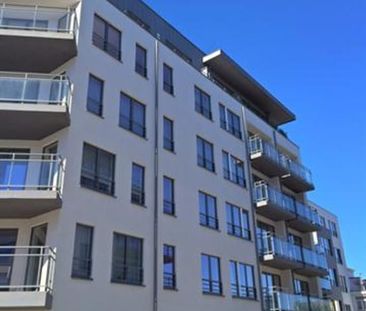 Studio te huur - Photo 4