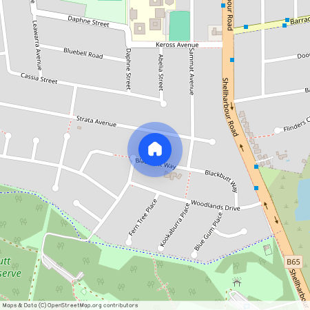 30 Blackbutt Way, NSW 2528, Barrack Heights