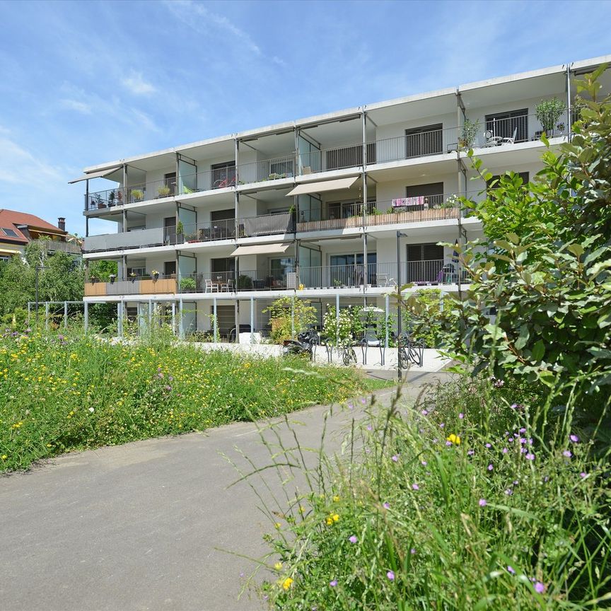 3.5 Zimmer, 91 m², EG - Foto 1
