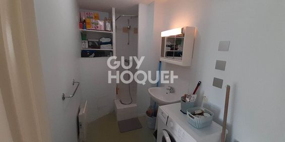 Location Appartement 1 pièce 20m² - Photo 3