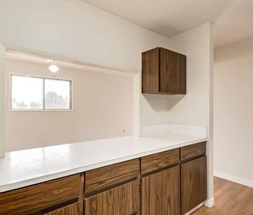 Classic Suite - 1 Bedroom - Photo 3