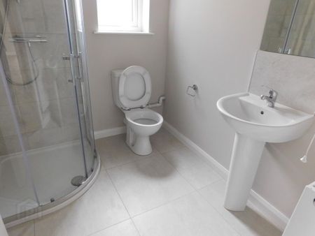 Apt 3 13a Dublin Road, Omagh, BT78 1ES - Photo 2