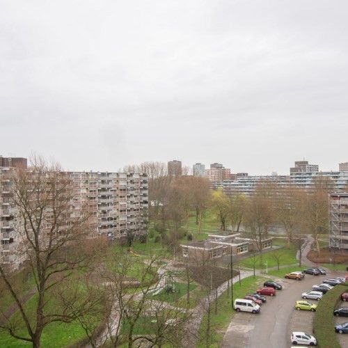 Jonkerbos 0ong, 2715 SG Zoetermeer, Nederland - Foto 2