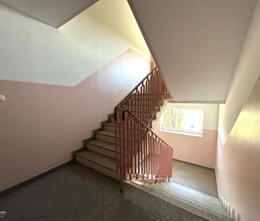 Grudziądz, Nowy Rządz Mieszkanie na wynajem - Photo 3