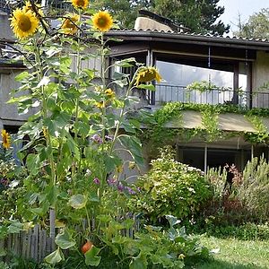 3 Zimmer-Wohnung in Puplinge (GE), möbliert, auf Zeit - Foto 2