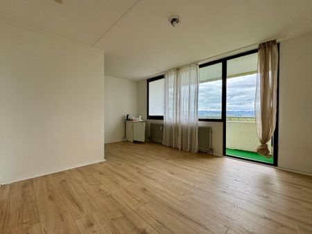 Mainz-Gonsenheim, frisch renoviertes Appartement mit herrlicher Aussicht! - Foto 3