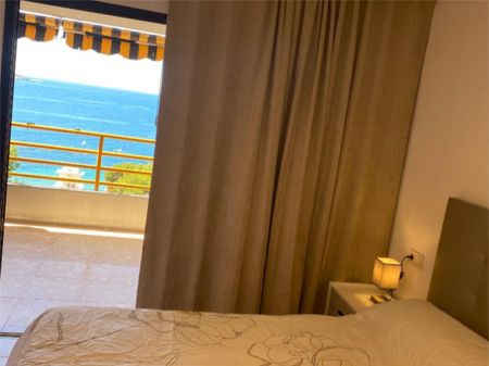 Apartamento de alquiler en Avenida de Uruguay, 10, Playa Poniente - Photo 3