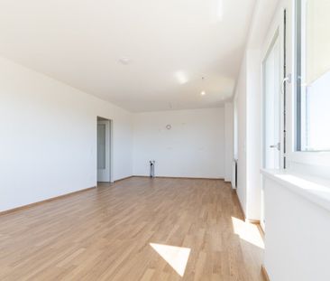 ERSTBEZUG „ein viertel grün“ in Wiener Neustadt - stilvolle 3 Zimme... - Photo 1