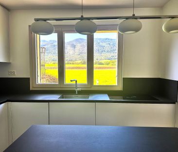 Charmante maison à louer sur Chéserex - Photo 1