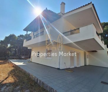 Μεζονέτα 215 τ.μ. προς ενοικίαση - Photo 1
