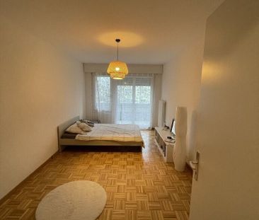 A saisir ! Charmant logement à Prangins ! - Photo 2