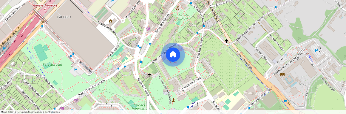 Chemin Auguste-Vilbert 38, 1218 Le Grand-Saconnex