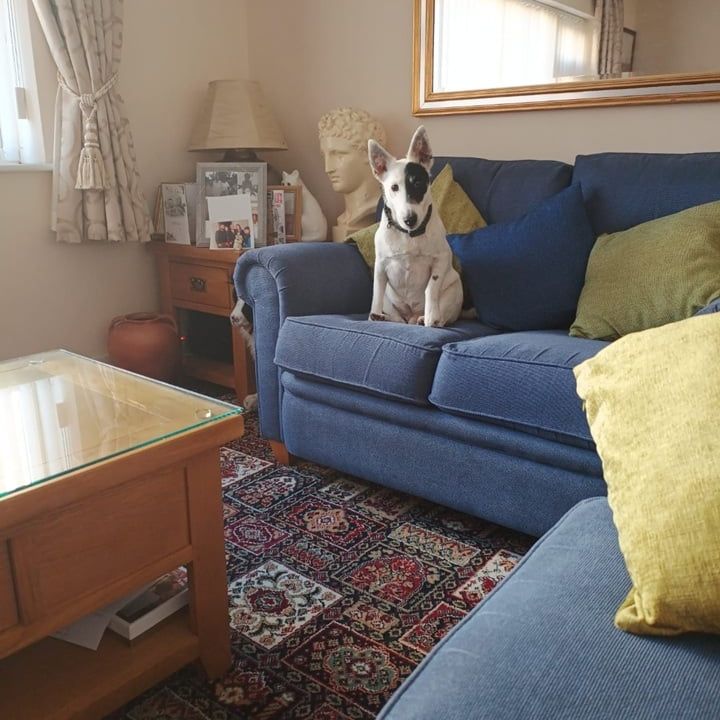 Room in a Shared House, Anna Croft, B23 - Photo 1