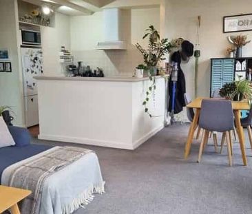 Sunny Inner City Apartment (including Carpark) - Photo 3