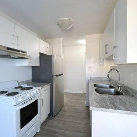 Spacious 2-Bedroom Apartment in Maple Ridge - Photo 1