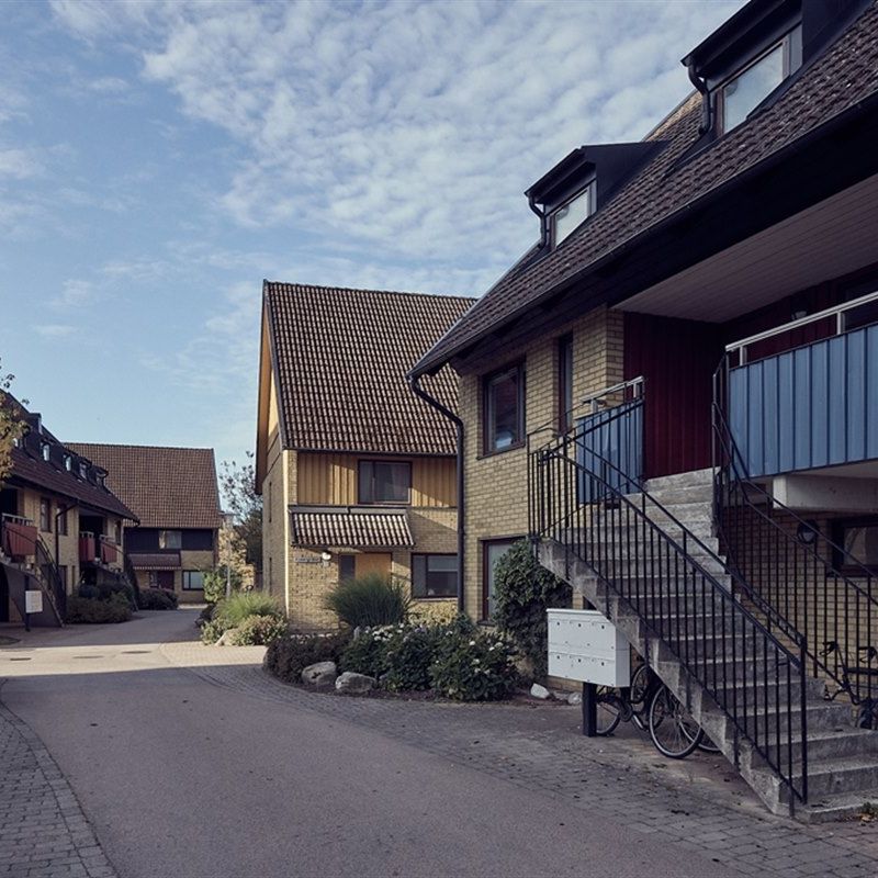 Transtigen 2 - Photo 2