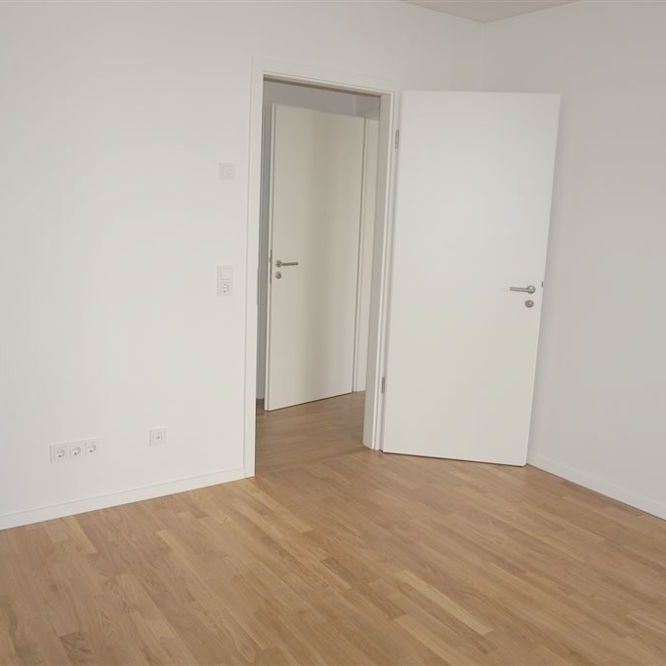 Trier: Wohnen an der Mosel – moderne 3 ZKB Erdgeschosswohnung mit Einbauküche und Terrasse - Photo 1