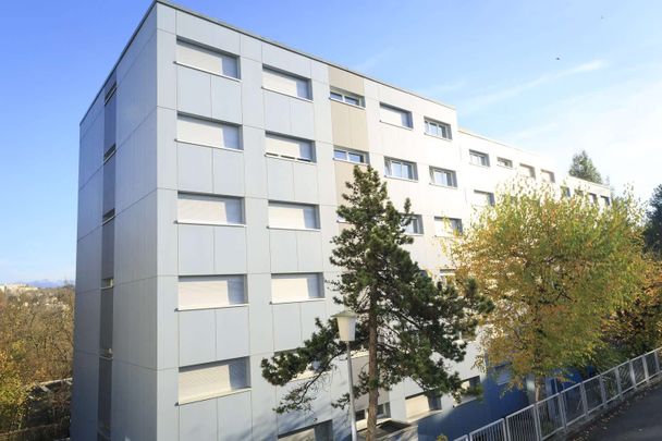 4.5 Zimmer, 71 m², 2. Stock - Photo 1