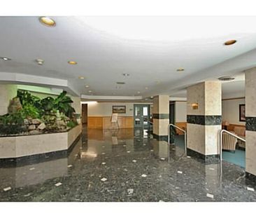 For Lease - 1025 Grenon Avenue Unit# 409, Britannia Heights - Queen... - Photo 2