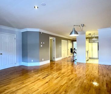 1322 Rue La Fontaine, Montréal (Ville-Marie), QC H2L - Photo 3