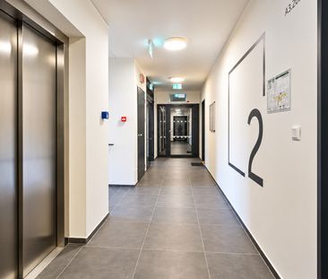 Pronájem bytu 2+kk 43 m², Haenkeho, Praha Řeporyje - Photo 6