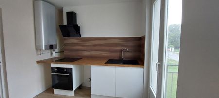 Location Appartement 4 pièces 72m² RICHELIEU 37120 - Photo 3