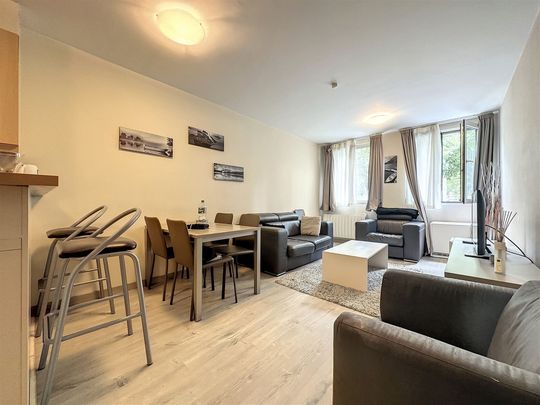 Appartement meublé 2 chambres avec jardin - Photo 1
