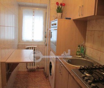 Apartament 1 camera — Zona Nicolina - Fotografie 3