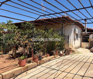 Μονοκατοικία για ενοικίαση Κερατέα - Photo 6