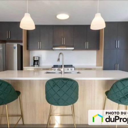 5-150, rue Albert-Seers, Chateauguay à louer - Photo 1