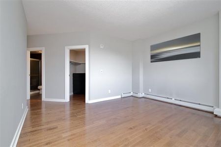 2 Br Condo For Rent In Downtown W/ Undgr. Parking & In Suite Laundry! - Photo 4