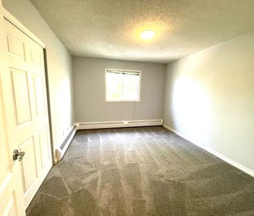 1 Bedroom Condo For Rent In Dover - Photo 4