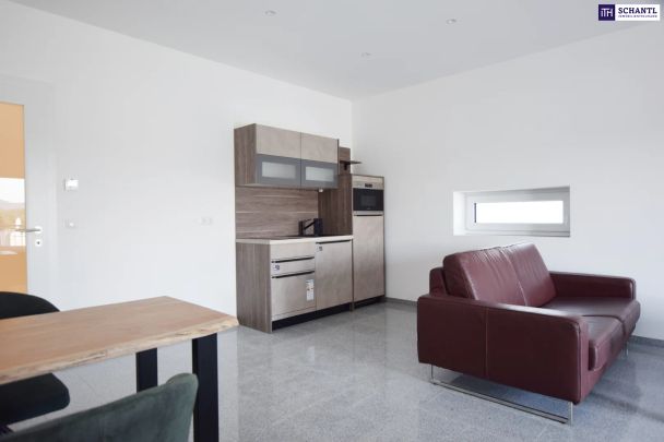 VOLLMÖBLIERTE Garconniere mit 45m² in der MALERISCHEN West-Steiermark! ERSTBEZUG ab sofort verfügbar! - Photo 1