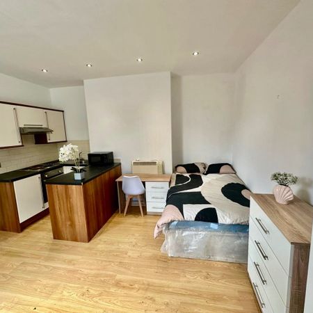 Bedsit, Norwood Terrace, LS6 - Photo 3